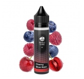 Lichid Guerilla Puff Bar 40ml - Cherry Blue Razz